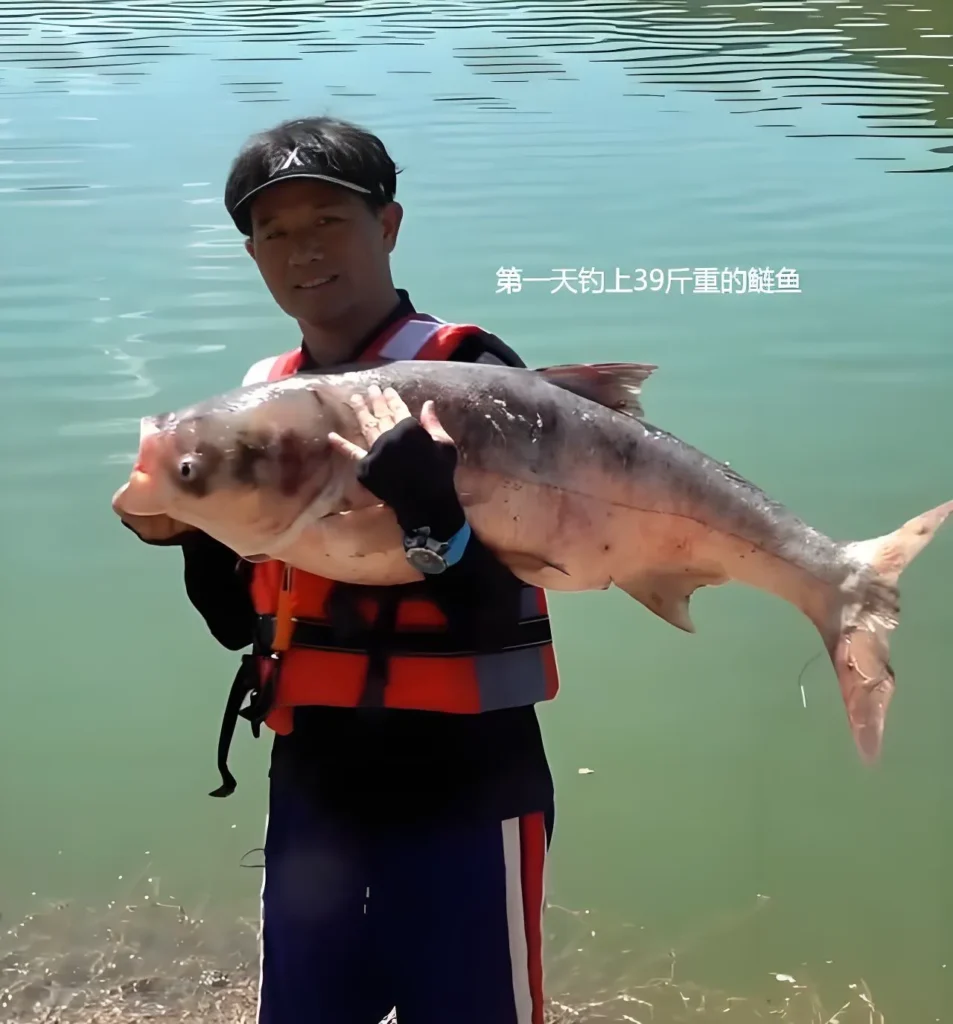 邓刚钓王