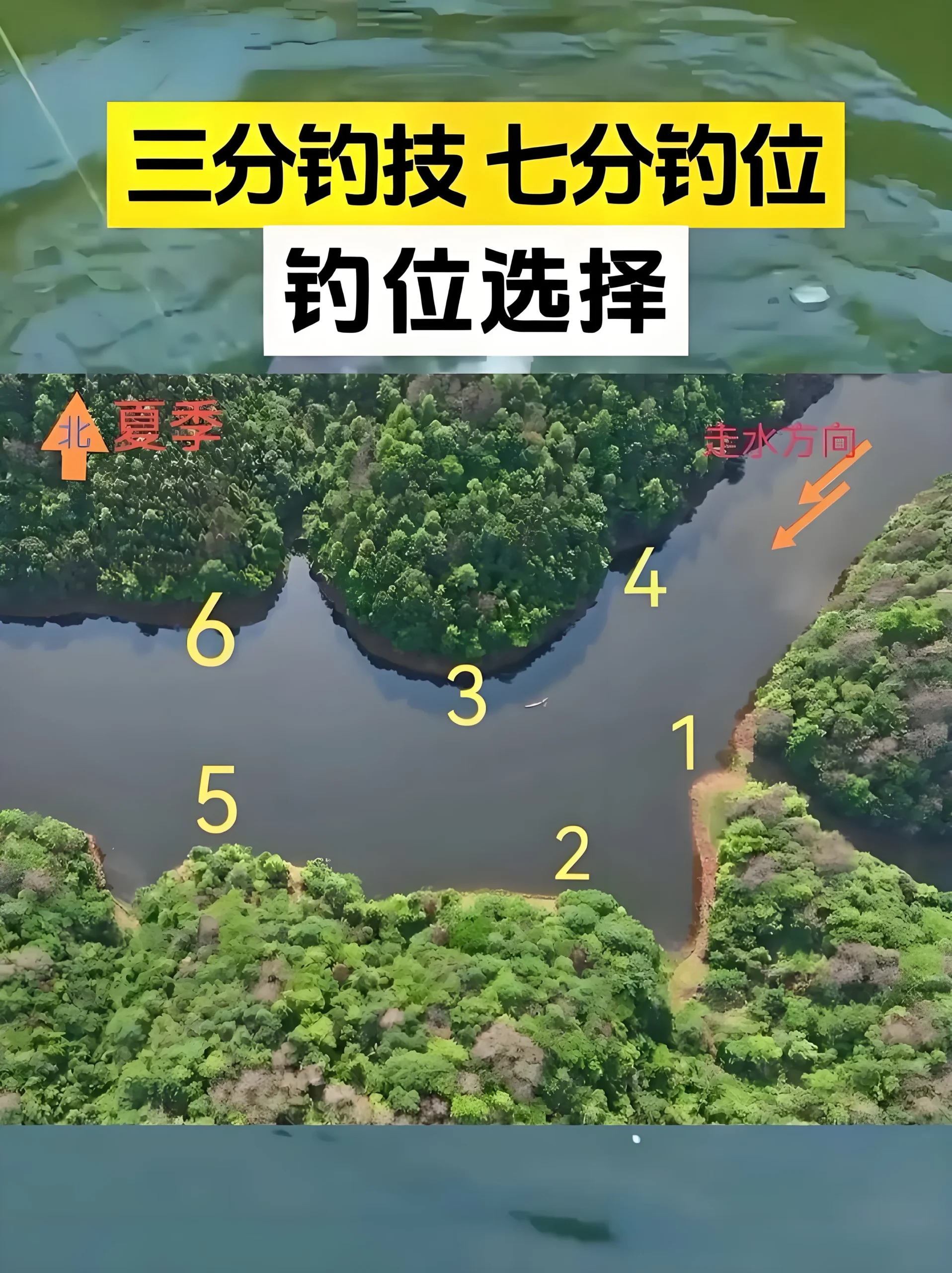 新手钓鱼选位技巧详解：钓位选得准，渔获才不空
