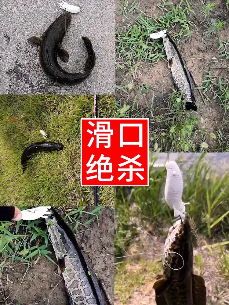 雷蛙路亚饵