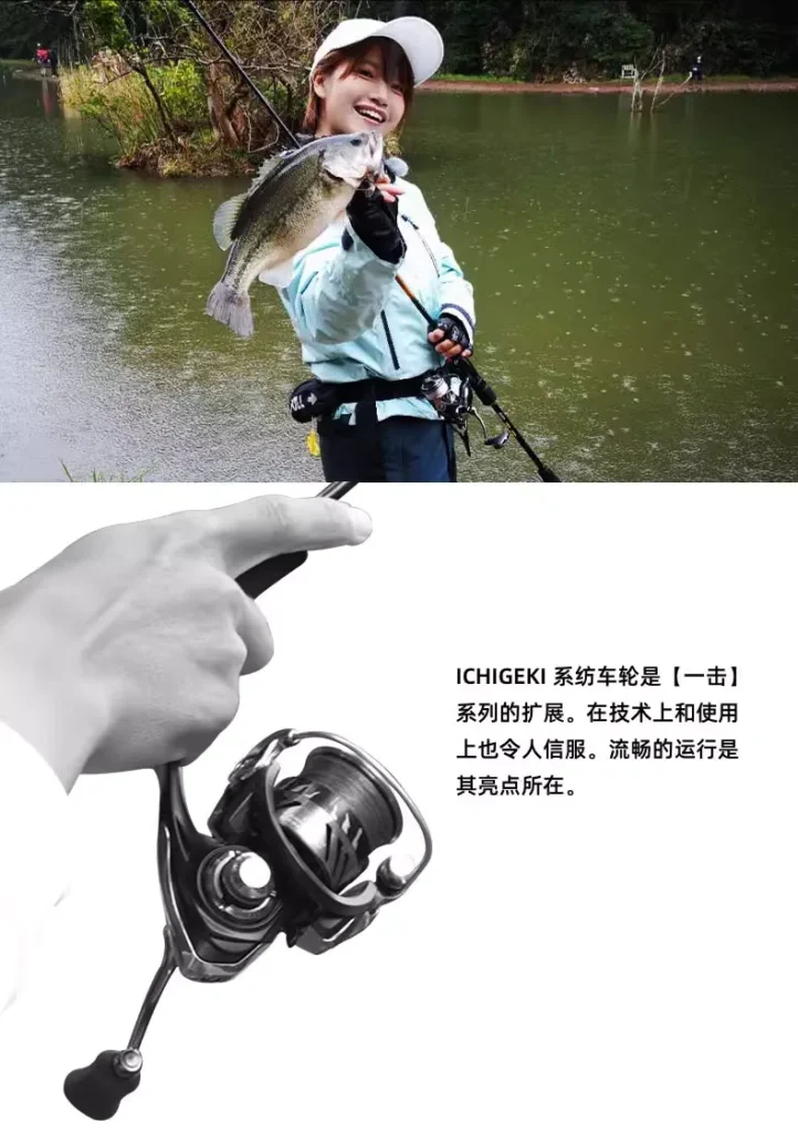 达亿瓦路亚轮评测