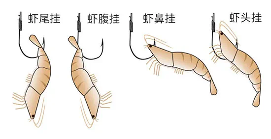 虾皮钩钓法