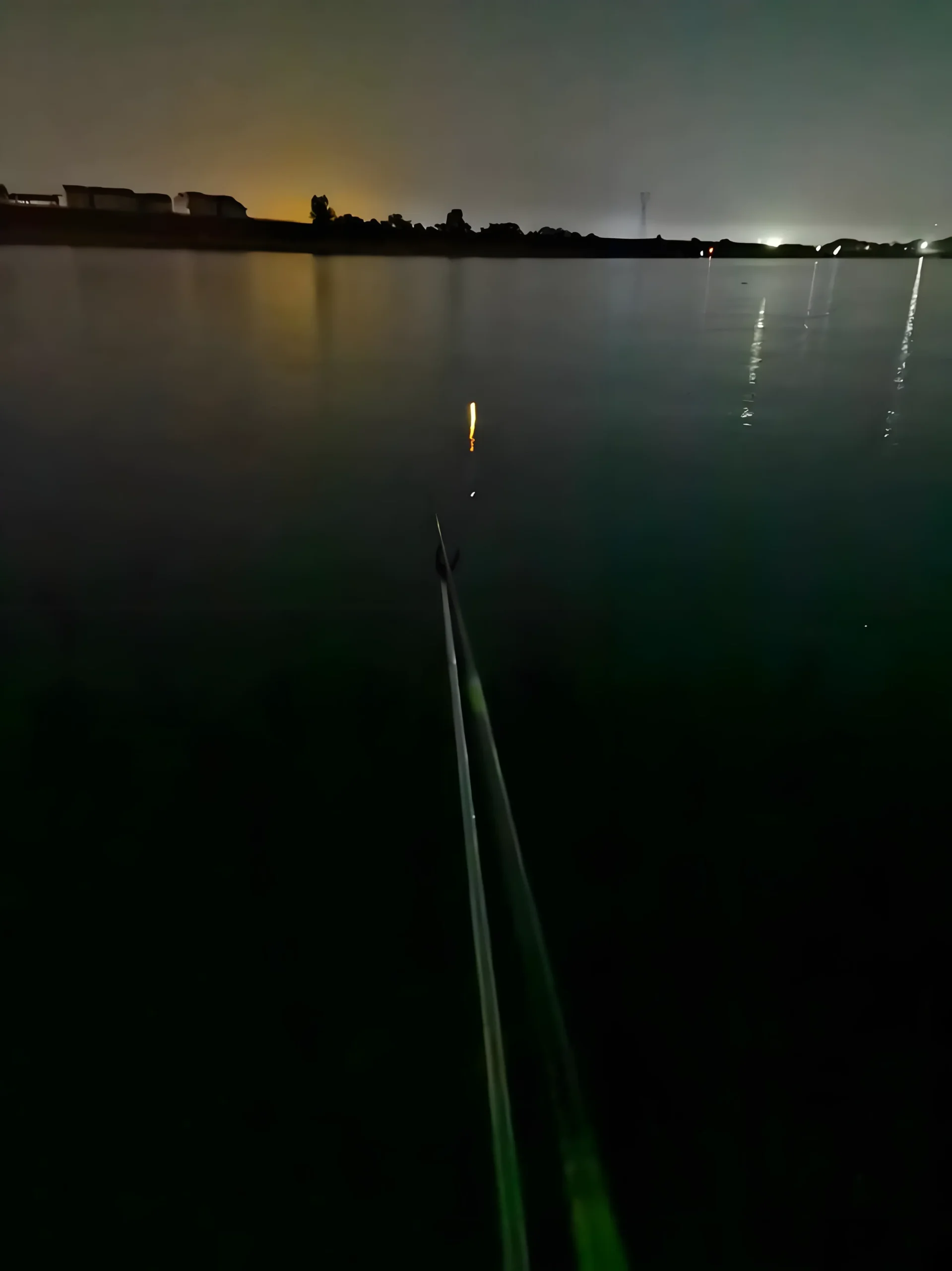 夜钓最佳时间